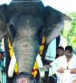 തുമ്പിക്കൈ കൊണ്ട് നല്‍കി ആന പുസ്തകം പ്രകാശനം ചെയ്തു